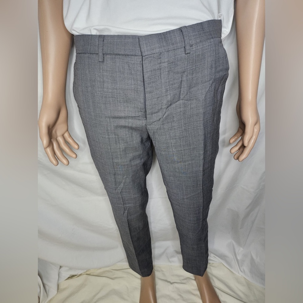Express Dress Pants